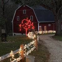 34040457