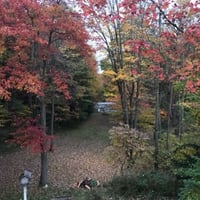 34040454