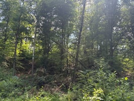 34040792