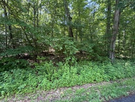 34045025