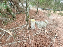 34095434