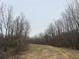 34051147