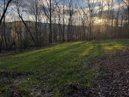 34052249
