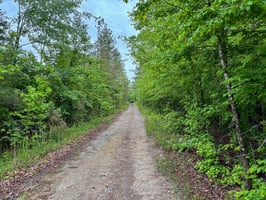 34064615