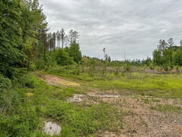 34064617