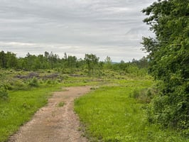 34064609