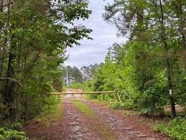 34064622