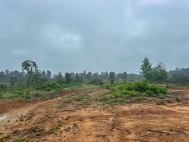 34056246