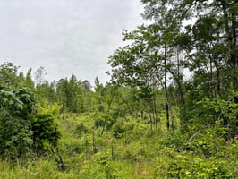 34064629