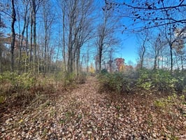 34058081