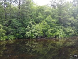 34060169