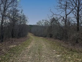 34063265