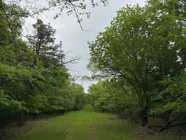 34063291