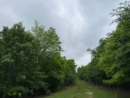34063280