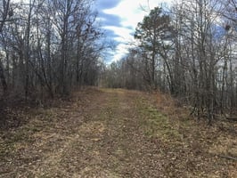 34063279