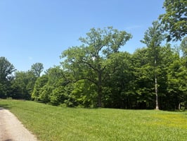 34064080