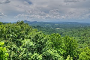 34065874