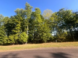 34065863