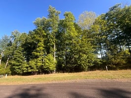 34065853