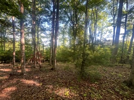 34065859