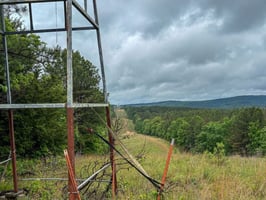 34070567