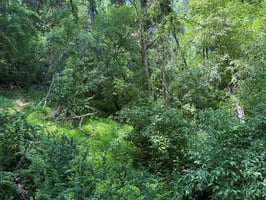 34071110