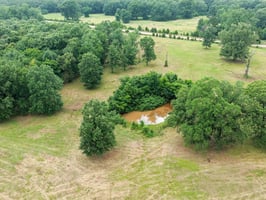 34071764