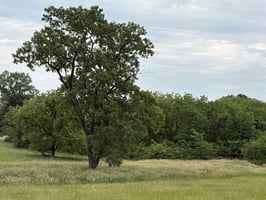 34074389