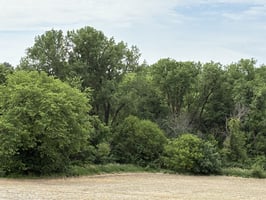 34074387