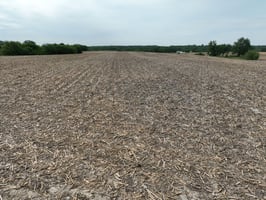 34074409