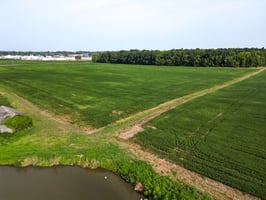 34076317