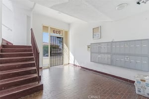 34080316
