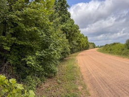 34095539