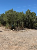 34355588
