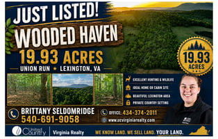 34106517