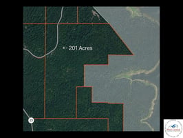 34203730