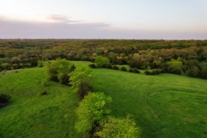 34118645