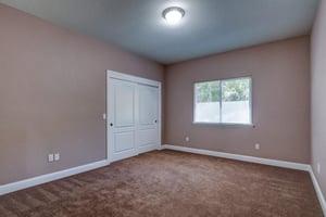 34136362