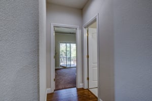 34136354