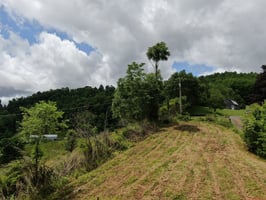 34167891