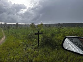 34168233