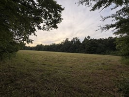 34168504