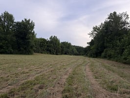 34168503