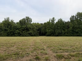 34168508