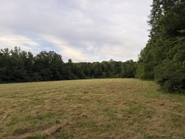 34168502