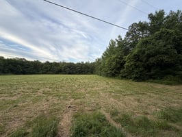 34168499