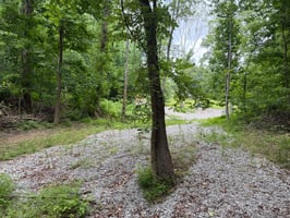 34169093