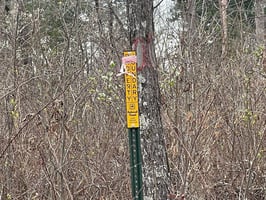 34170218