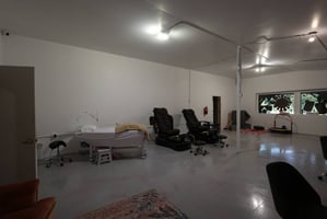 34282807