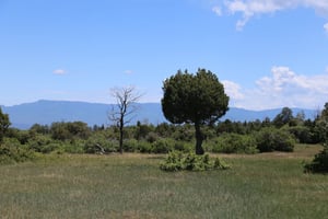 34200991